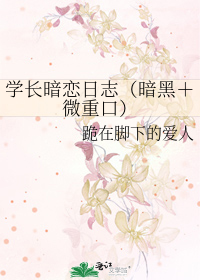 Bìa truyện Học Trường Ám Luyến Nhật Chí Ám Hắc Vi Trọng Khẩu (学长暗恋日志（暗黑＋微重口）)