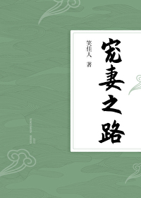 Bìa truyện Sủng Thê Chi Lộ (宠妻之路)