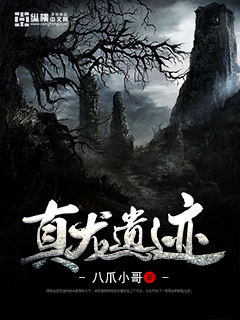 Bìa truyện Chân Long Di Tích (真龙遗迹)