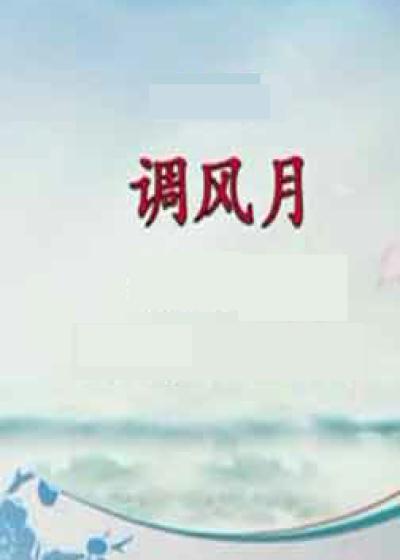 Bìa truyện Điều Phong Nguyệt (调风月)