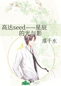 Bìa truyện Cao Đạt Seed Tinh Thần Đích Quang Dữ Ảnh (高达seed——星辰的光与影)
