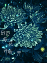 Bìa truyện Điền Dã Cúc Hoa Khai Nha Khai (田野菊花，开呀开)
