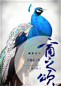 Bìa truyện Thương Chi Tụng (商之颂)