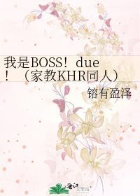 Bìa truyện Ngã Thị Boss Due Gia Giáo Khr Đồng Nhân (我是BOSS！due！（家教KHR同人）)