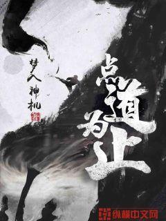 Bìa truyện Điểm Đạo Vi Chỉ (点道为止)
