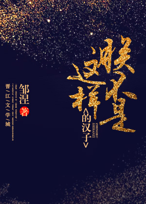 Bìa truyện Trẫm Bất Thị Giá Dạng Đích Hán Tử (朕不是这样的汉子)