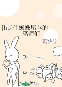 Bìa truyện Hp Trụ Tri Chu Vĩ Hạng Đích Vu Sư Môn ([hp]住蜘蛛尾巷的巫师们)