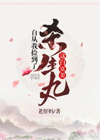 Bìa truyện Tự Tòng Ngã Kiểm Đáo Liễu Sát Điện Giá Bạch Phú Mĩ Tống (自从我捡到了杀殿这白富美[综])