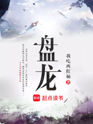 Bìa truyện Bàn Long (盘龙)