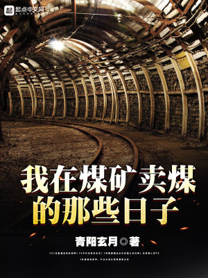 Bìa truyện Ngã Tại Môi Quáng Mại Môi Đích Na Ta Nhật Tử (我在煤矿卖煤的那些日子)