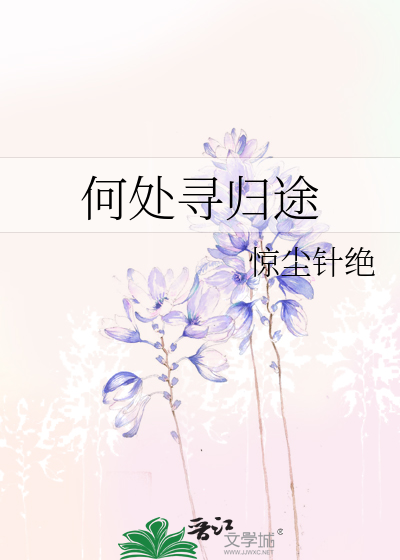 Bìa truyện Hà Xử Tầm Quy Đồ (何处寻归途)