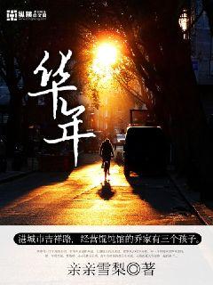 Bìa truyện Hoa Niên (华年)