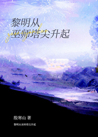 Bìa truyện Lê Minh Tòng Vu Sư Tháp Tiêm Thăng Khởi (黎明从巫师塔尖升起)