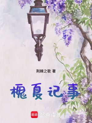 Bìa truyện Hòe Hạ Kí Sự (槐夏记事)