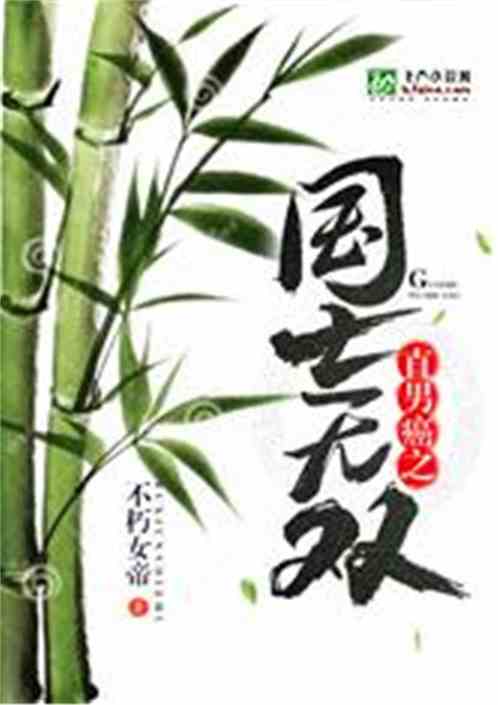 Bìa truyện Trực Nam Nham Chi Quốc Sĩ Vô Song (直男癌之国士无双)