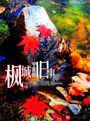 Bìa truyện Phong Thành Cựu Sự (枫城旧事)