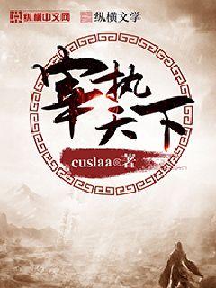 Bìa truyện Tể Chấp Thiên Hạ (宰执天下)