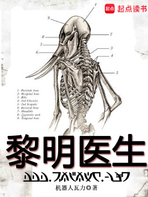 Bìa truyện Lê Minh Y Sinh (黎明医生)