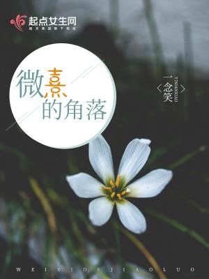 Bìa truyện Vi Hi Đích Giác Lạc (微熹的角落)