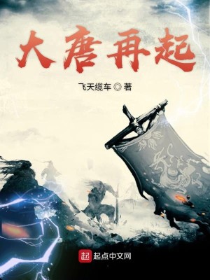 Bìa truyện Đại Đường Tái Khởi (大唐再起)