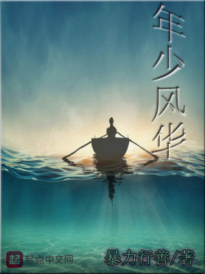 Bìa truyện Niên Thiếu Phong Hoa (年少风华)
