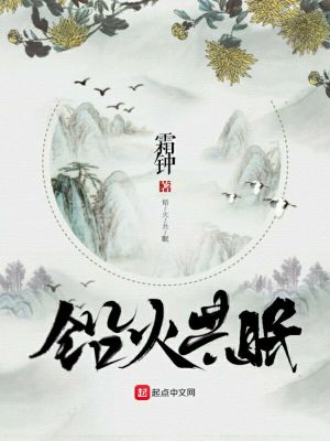 Bìa truyện Duyên Hỏa Cộng Miên (铅火共眠)