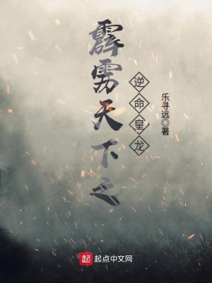 Bìa truyện Tích Lịch Thiên Hạ Chi Nghịch Mệnh Hoàng Long (霹雳天下之逆命皇龙)