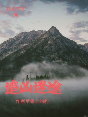 Bìa truyện Truy Hung Mê Đồ (追凶迷途)