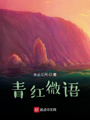 Bìa truyện Bất Danh Chi Văn (不名之文)