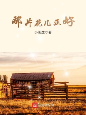 Bìa truyện Na Phiến Hoa Nhân Chính Hảo (那片花儿正好)
