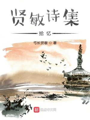 Bìa truyện Hiền Mẫn Thi Thập Ức (贤敏诗拾忆)