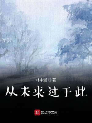 Bìa truyện Tòng Vị Lai Quá Vu Thử (从未来过于此)