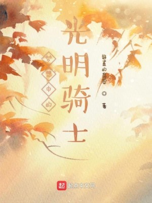 Bìa truyện Mộng Tưởng Trung Đích Quang Minh Kỵ Sĩ (梦想中的光明骑士)