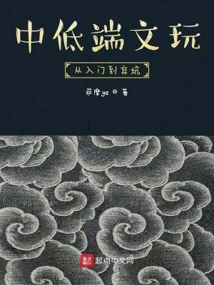 Bìa truyện Trung Đê Đoan Văn Ngoạn Tòng Nhập Môn Đáo Khí Khanh (中低端文玩从入门到弃坑)