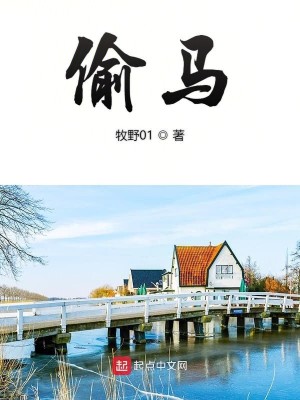Bìa truyện Thâu Mã (偷马)