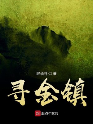 Bìa truyện Tầm Kim Trấn (寻金镇)