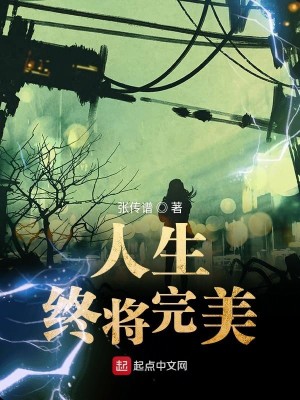 Bìa truyện Nhân Sinh Chung Tương Hoàn Mĩ (人生终将完美)