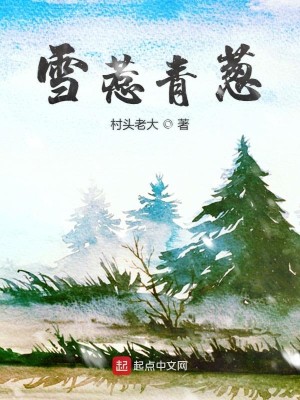 Bìa truyện Tuyết Nhạ Thanh Thông (雪惹青葱)