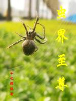 Bìa truyện Trùng Giới Chí Tôn (虫界至尊)