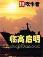 Bìa truyện Lâm Cao Khải Minh (临高启明)
