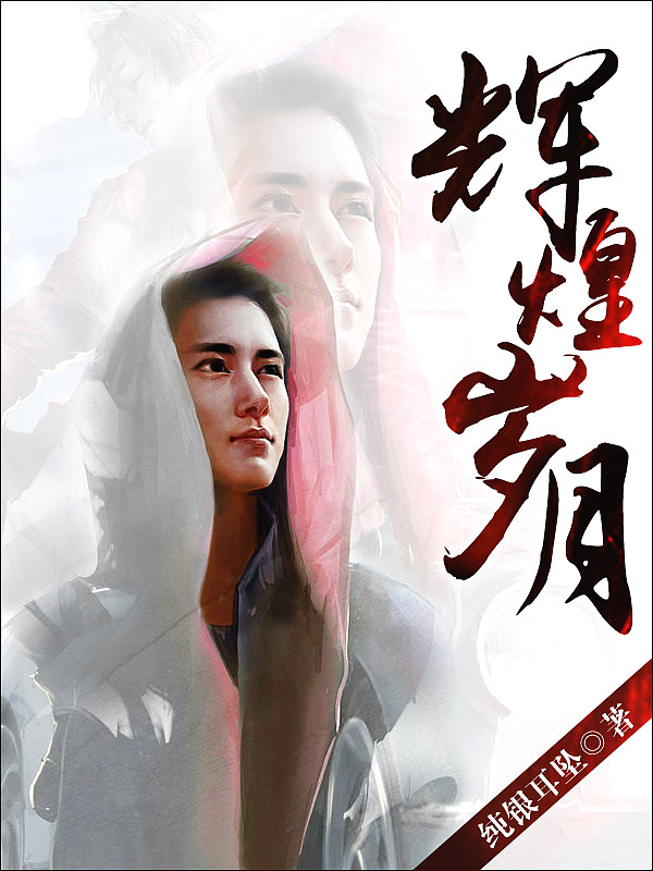 Bìa truyện Huy Hoàng Tuế Nguyệt (辉煌岁月)