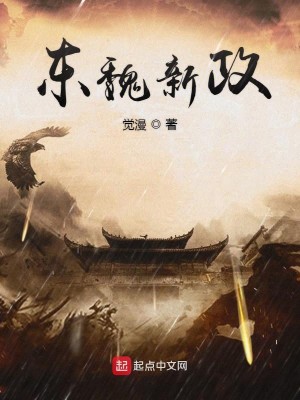 Bìa truyện Đông Ngụy Tân Chính (东魏新政)