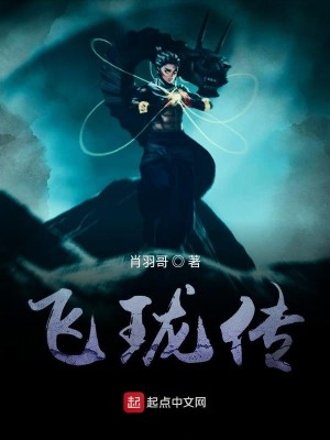 Bìa truyện Phi Lung Truyện (飞珑传)