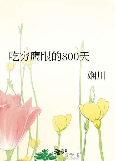 Bìa truyện Hải Tặc Cật Cùng Ưng Nhãn Đích 800 Thiên ([海贼]吃穷鹰眼的800天)
