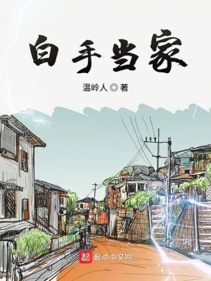 Bìa truyện Bạch Thủ Đương Gia (白手当家)