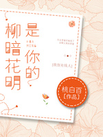 Bìa truyện Thị Nhĩ Đích Liễu Ám Hoa Minh (是你的柳暗花明)