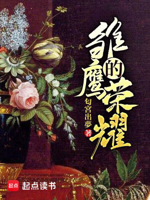 Bìa truyện Sồ Ưng Đích Vinh Diệu (雏鹰的荣耀)