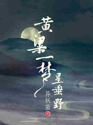 Bìa truyện Hoàng Lương Nhất Mộng Tinh Thùy Dã (黄粱一梦星垂野)