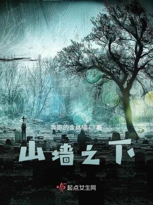 Bìa truyện Sơn Tường Chi Hạ (山墙之下)