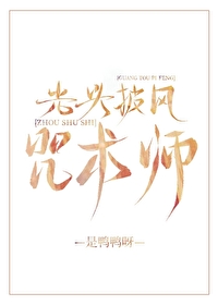 Bìa truyện Quang Đầu Phi Phong Chú Thuật Sư (光头披风咒术师)